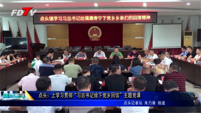 點頭：上學習貫徹“習總書記給下黨鄉回信”主題黨課