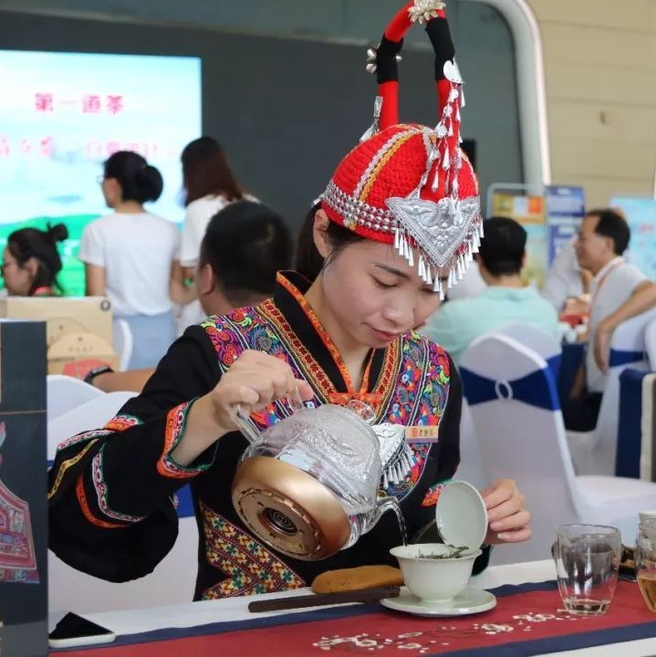 品鑒會，讓廈門人零距離感受福鼎白茶的魅力