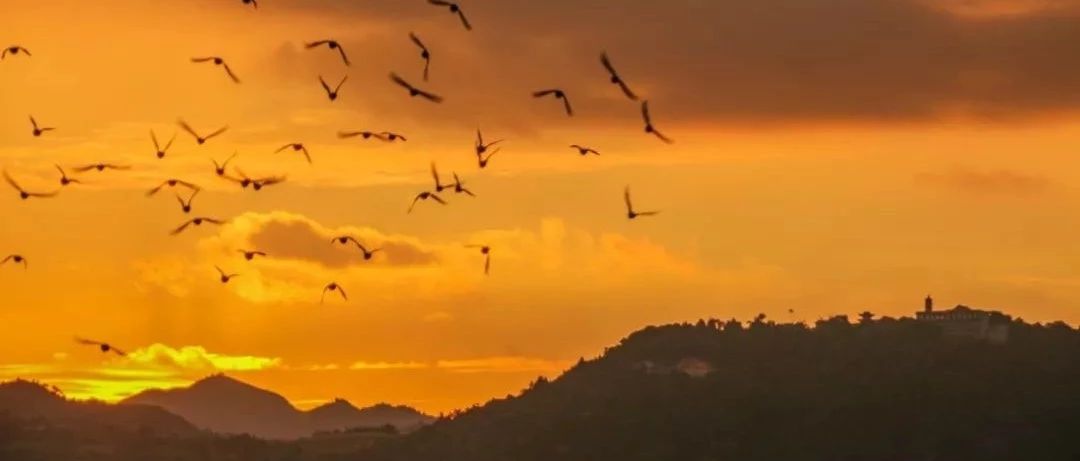 都知道桐城八景中的昭明夕照，那你知道昭明寺最初興建的原因嗎？