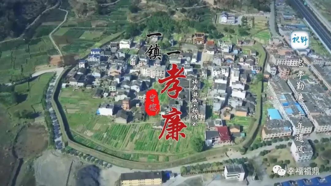 【視野】“有官不做、有子不蔭、有田不買”，世人譽之為“三奇”，你認識他嗎？