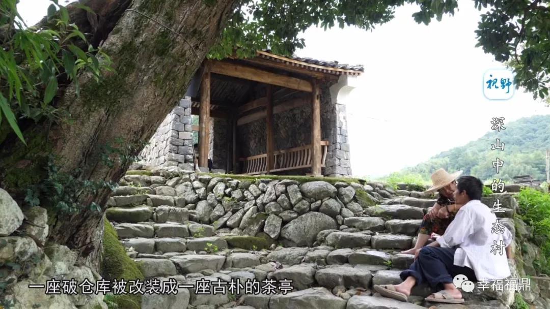 【視野】深山中的生態村
