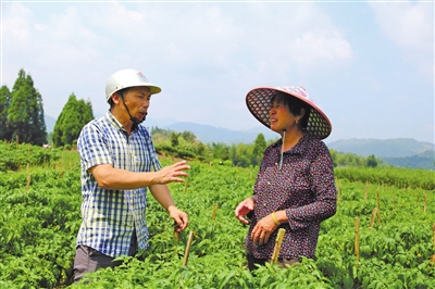 鄉村振興“排頭兵” 注入發展驅動力