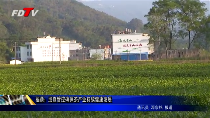 福鼎：巡查管控確保茶產業持續健康發展