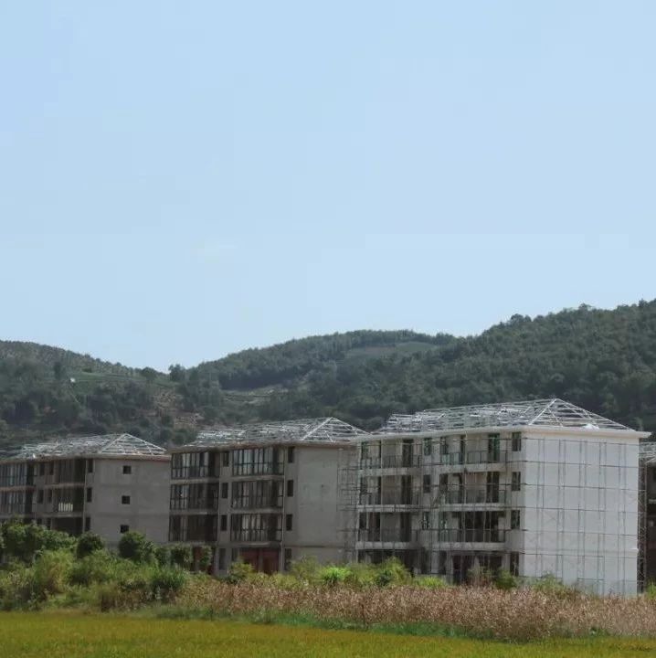 環境整治持續發力，讓高鐵高速沿線“靚”起來