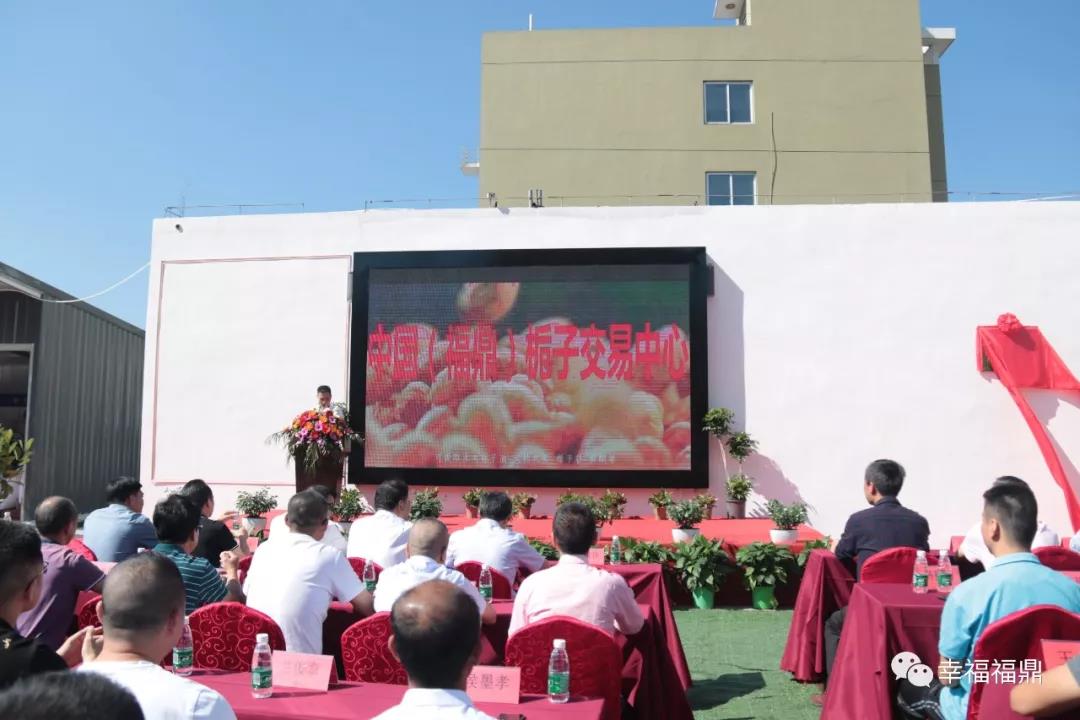 高大上，中國（福鼎）梔子交易中心開業啦