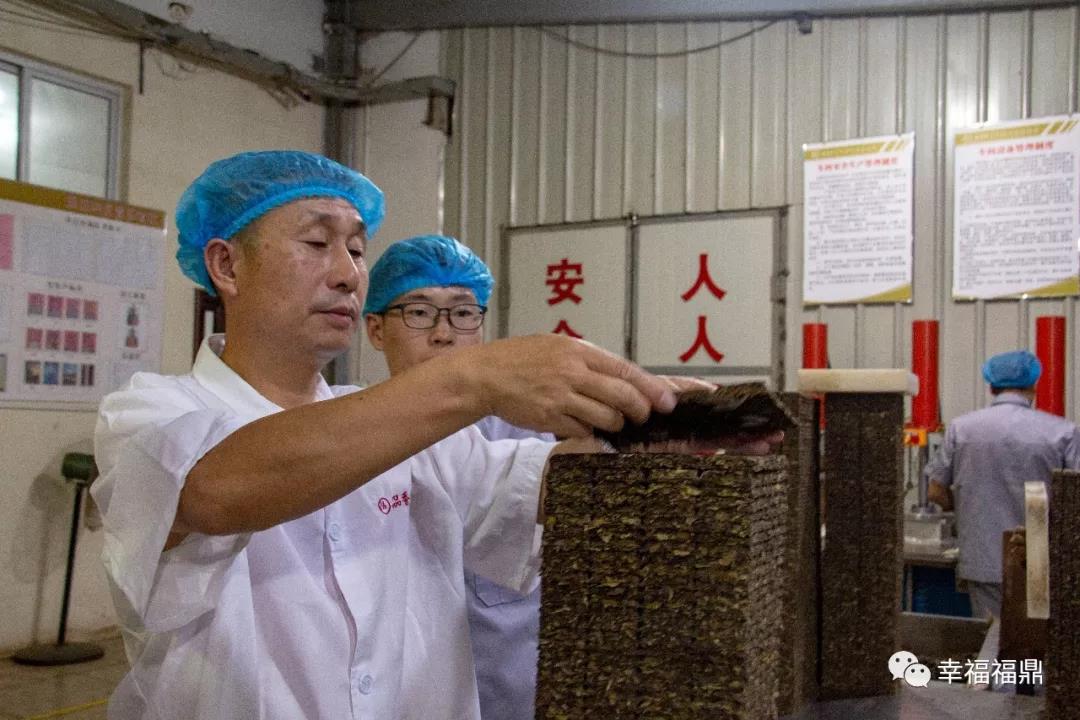 好人好自己，好茶和天下，這位茶人的初心始終如一……