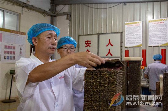 邵克平：好人好自己，好茶和天下