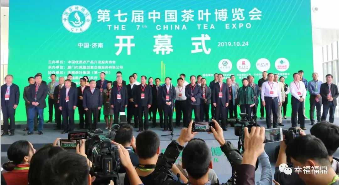 以茶之名，福鼎與泉城赴一場白茶之約