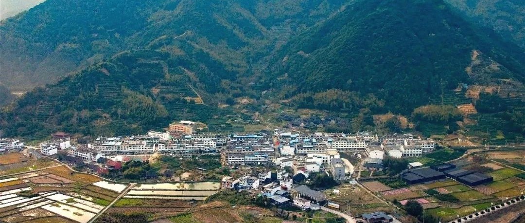 赤溪雙創動力更強勁，山水之間逐夢“綠富美”