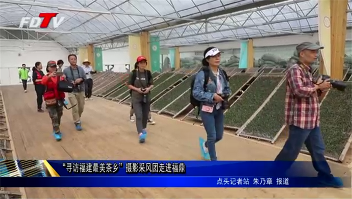 “尋訪福建最美茶鄉”攝影采風團走進福鼎