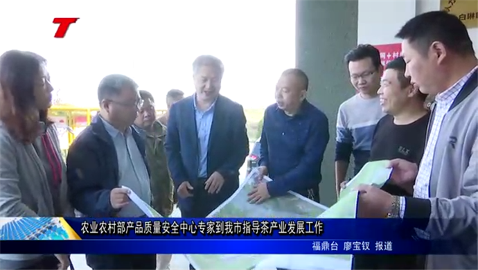 農業農村部產品質量安全中心專家到我市指導茶產業發展工作
