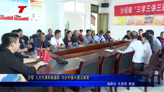沙埕:人大代表積極履職 為鄉村振興建言獻策