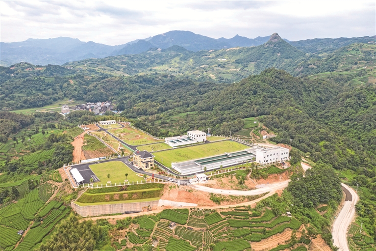 改革創新擔當實干 砥礪奮進強產興城 ——福鼎市經濟社會高質量發展紀實
