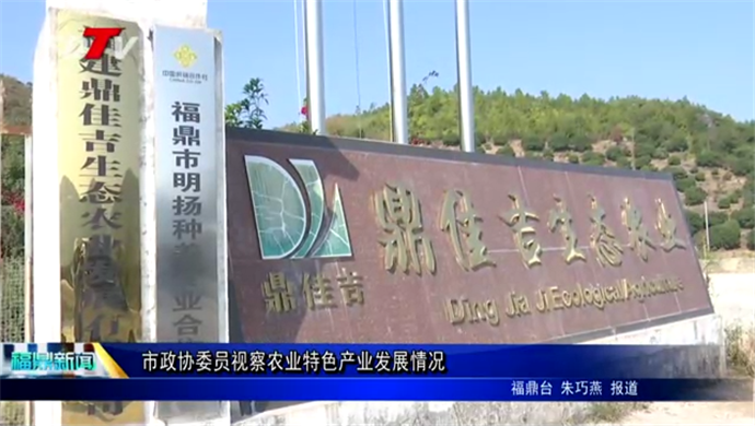 市政協委員視察農業特色產業發展情況