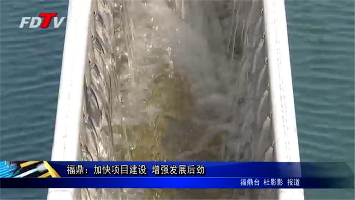 福鼎：加快項目建設 增強發展后勁