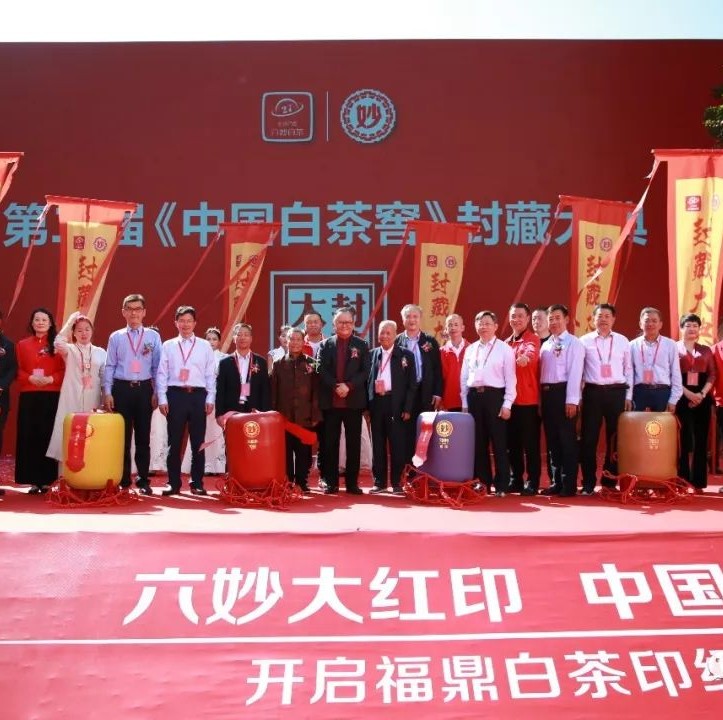 大咖云集真熱鬧！點頭今天發生了啥事？