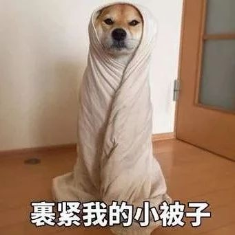 冷空氣來撩，你的“裝備”升級了嗎？