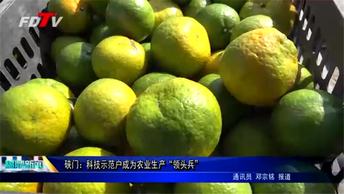 硤門：科技示范戶成為農業生產“領頭兵”