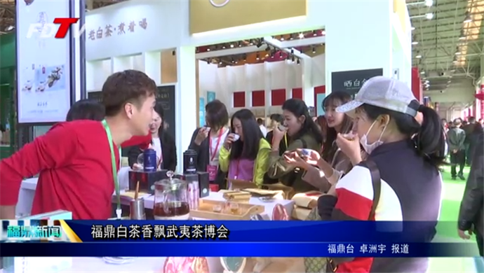 福鼎白茶香飄武夷茶博會