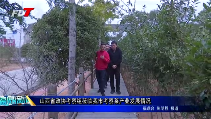 山西省政協考察組蒞臨我市考察茶產業發展情況