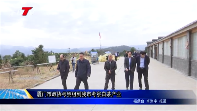 廈門市政協考察組到我市考察白茶產業