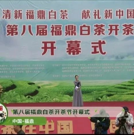 點贊臺丨創新傳播方式，叫響白茶品牌