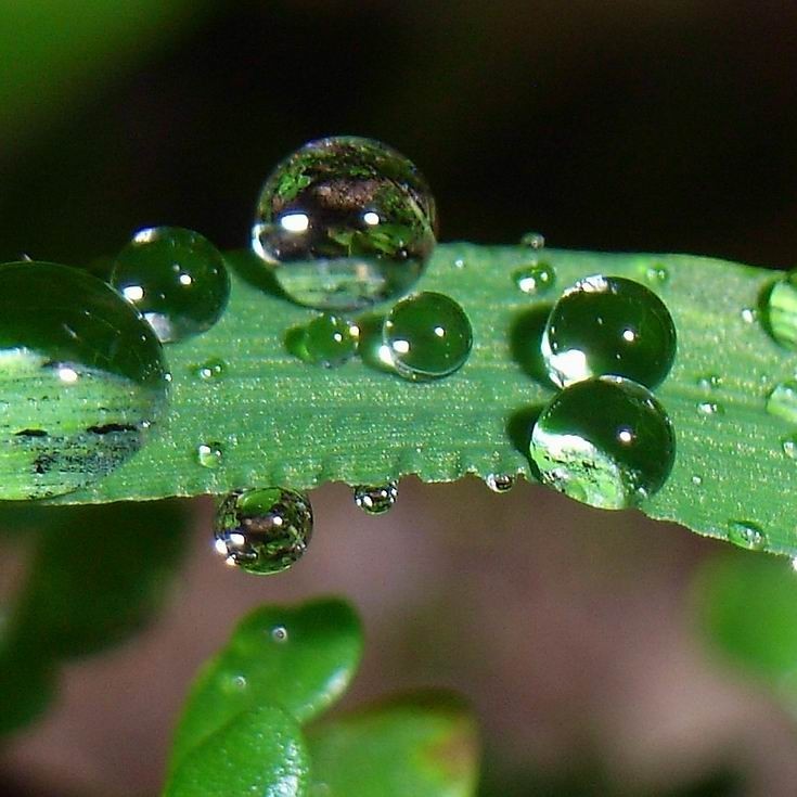 剛剛發布！未來三天！繼續人工增雨！