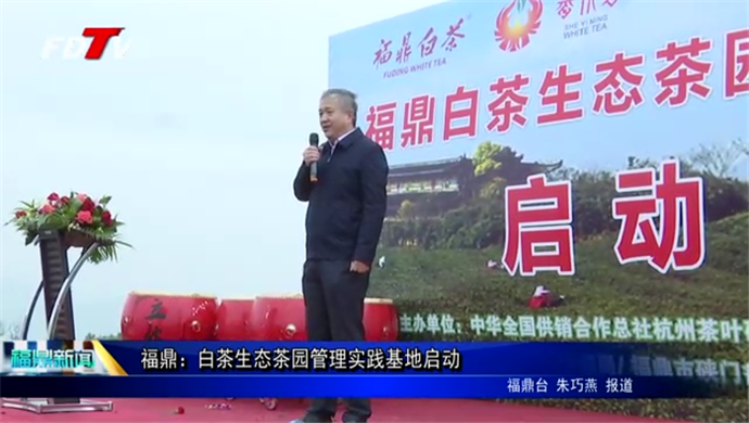 福鼎：白茶生態茶園管理實踐基地啟動