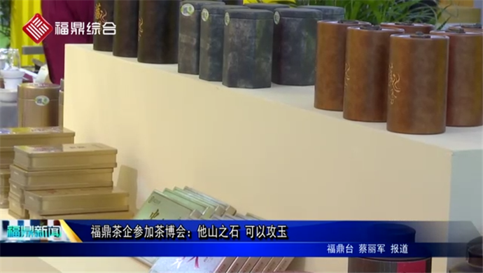福鼎茶企參加茶博會：他山之石 可以攻玉