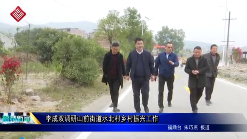 李成雙調研山前街道水北村鄉村振興工作