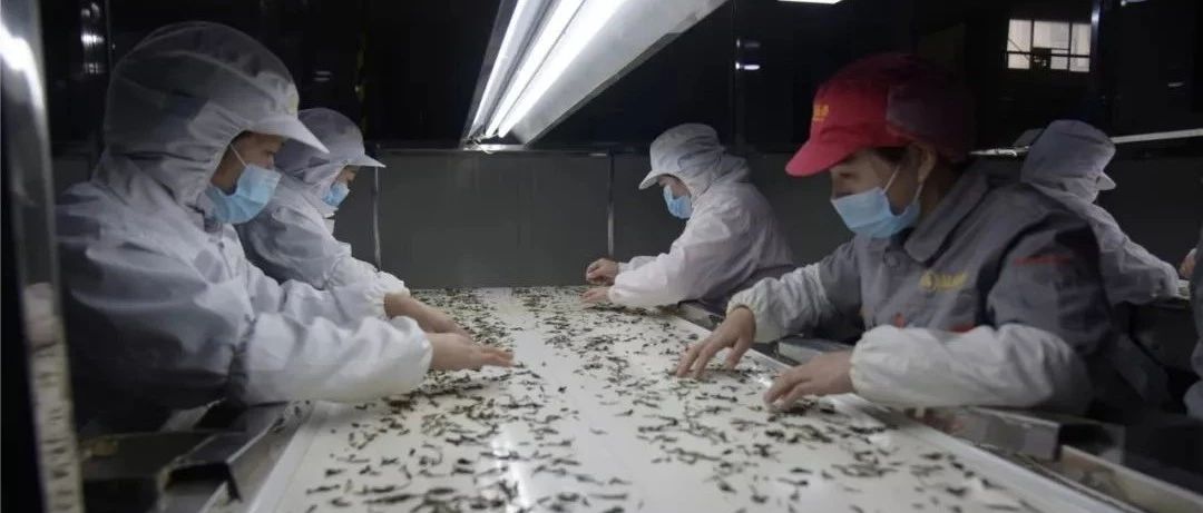 防疫生產齊頭并進，福鼎有序推進企業復工