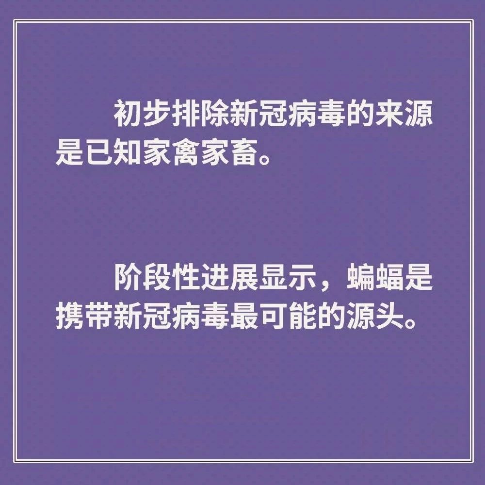 雞鴨會傳播病毒？疫苗研究得怎樣？抗疫最新信息，你要知道