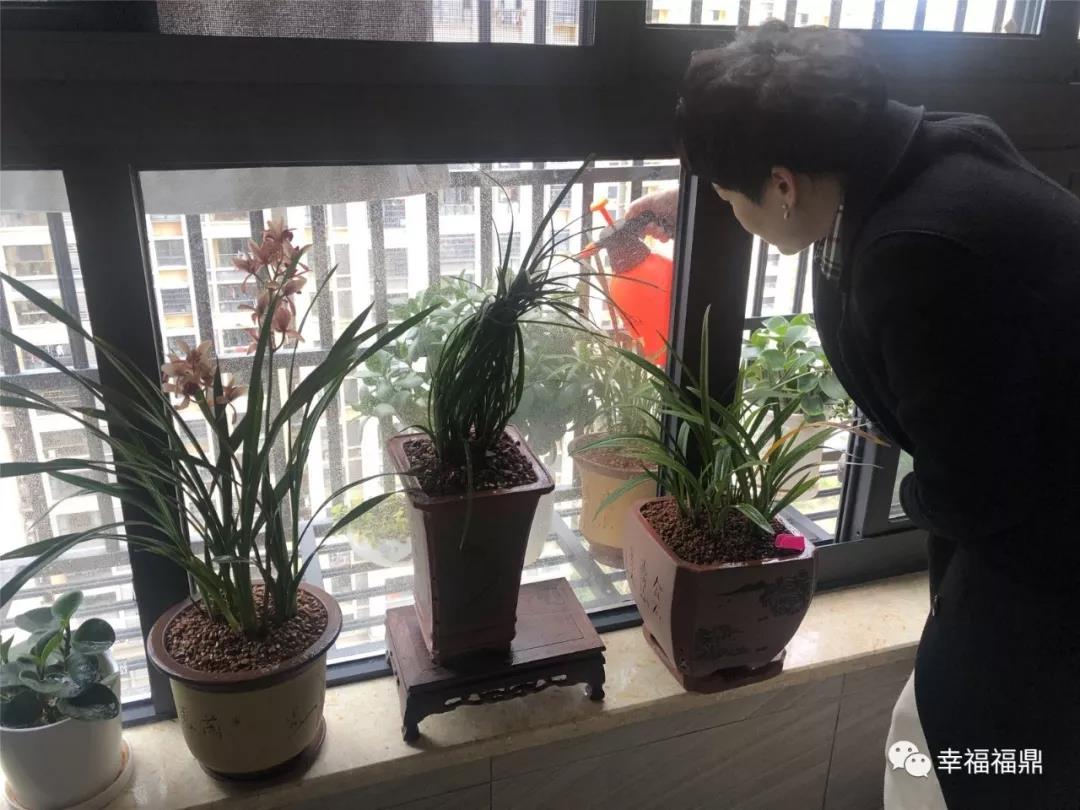 宅家無聊嗎？不！愛生活的福鼎人在家這樣過……