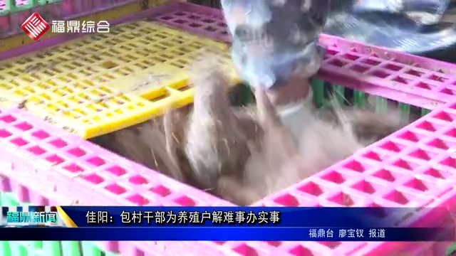 佳陽：包村干部為養殖戶解難事辦實事