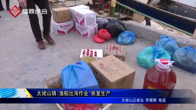 太姥山鎮：漁船出海作業 恢復生產