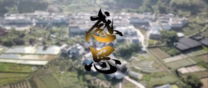 感恩回報！“中國扶貧第一村”赤溪村干群為前線醫護人員獻愛心
