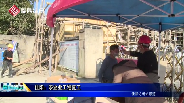 佳陽：茶企業工程復工