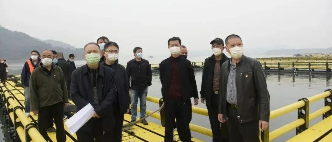 劉振輝、袁華軍海上調研，關注了這些……