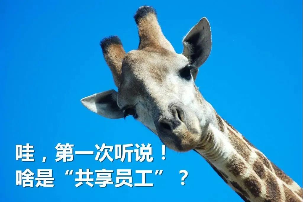 神操作！“跨界共享”，酒店員工搞起了電子設備！
