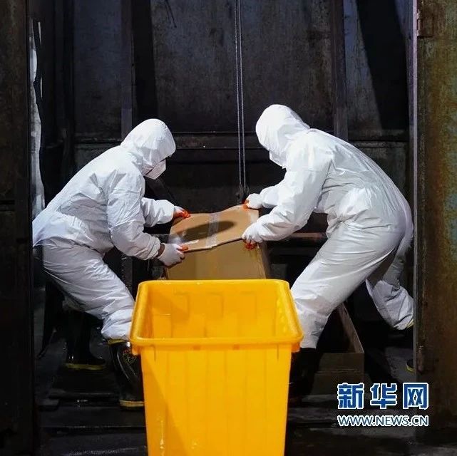 病區的醫療垃圾都去哪了？