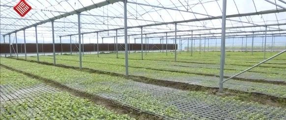 村里來了鄉村振興幫扶工作隊，他們來干啥？