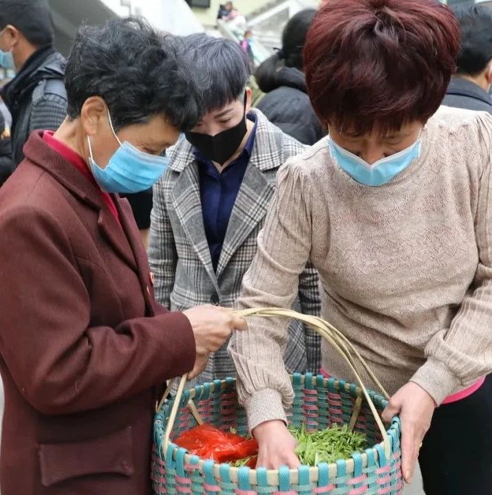 茶青交易市場開市了，這份交易須知務必先看看！
