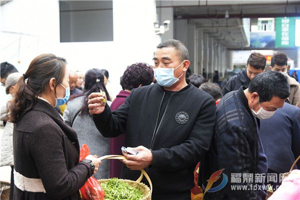閩浙邊界地區最大的白茶交易市場開市