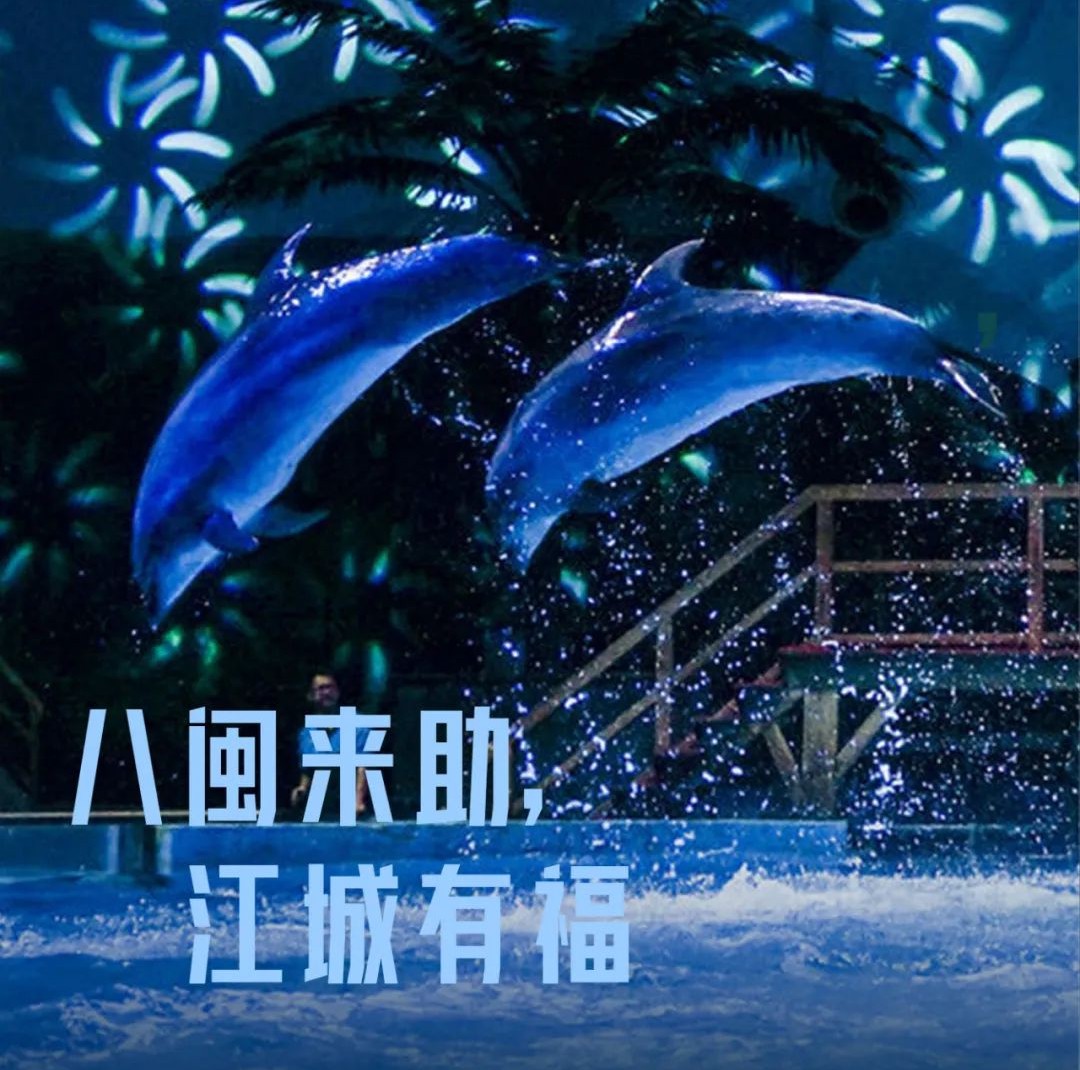 31張武漢城市名片，致謝每一位拼過命的英雄，咱們福建的名片是——