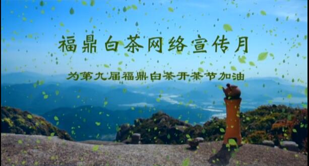 智美鄉村dou愛福鼎白茶