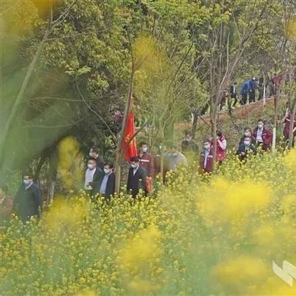 閩宜友誼林，紀念戰疫情！