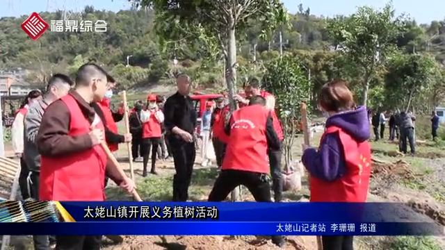 太姥山鎮開展義務植樹活動