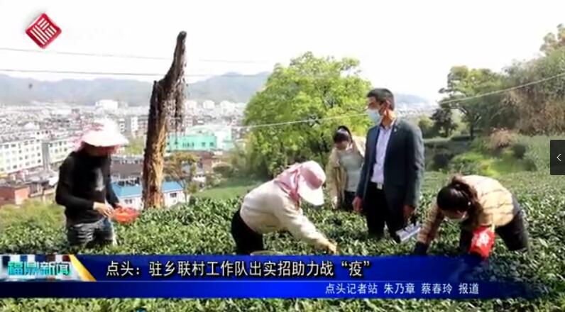點頭：駐鄉聯村工作隊出實招助力戰“疫”