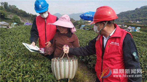 市供電公司：清明時節嚴防山火