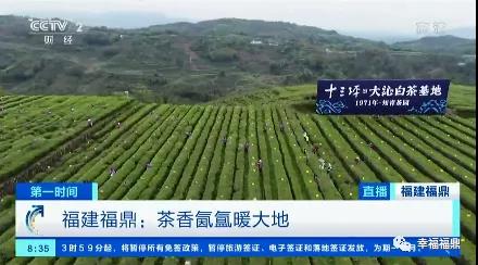 茶香氤氳暖大地！央視財經頻道《第一時間》連線磻溪